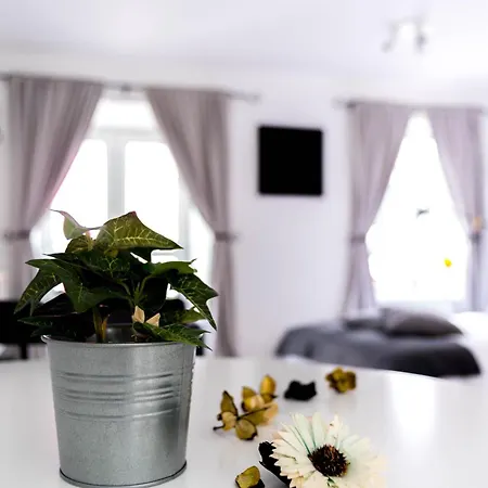 Amica Guesthouse-3
